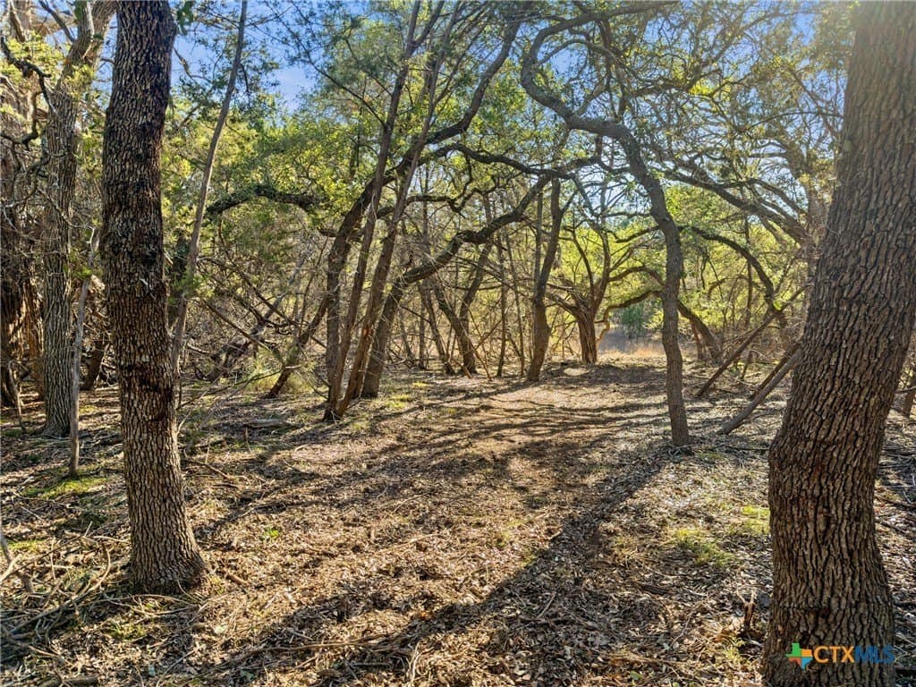0.88 acres in Comal County - photo 7