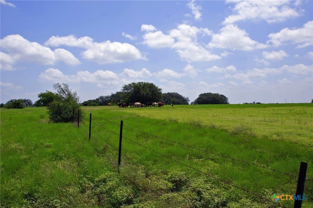 200 acres in Burnet County - photo 14