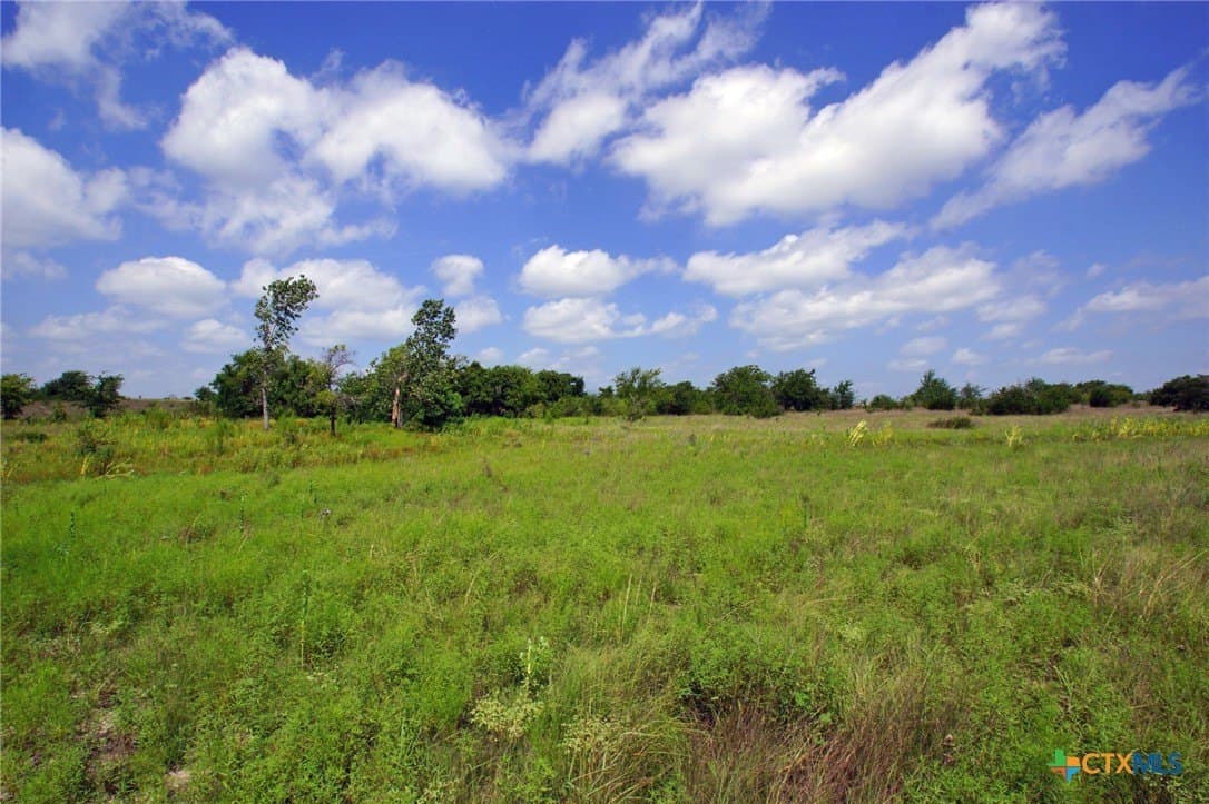 200 acres in Burnet County - photo 5