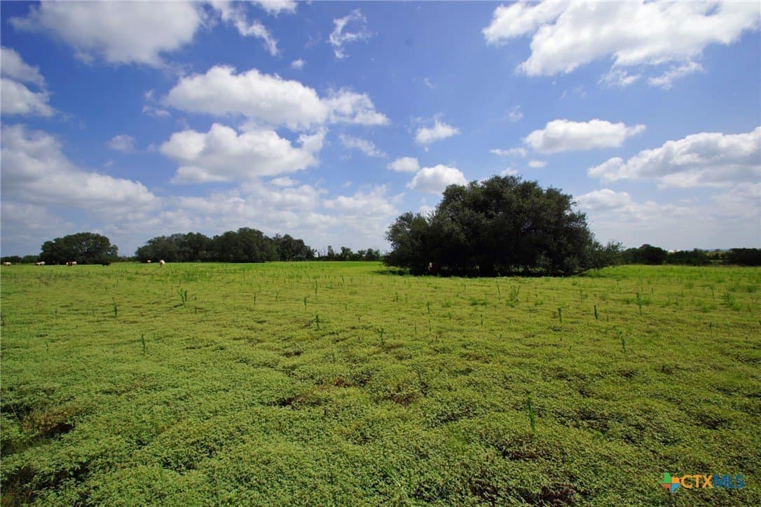 200 acres in Burnet County - photo 2