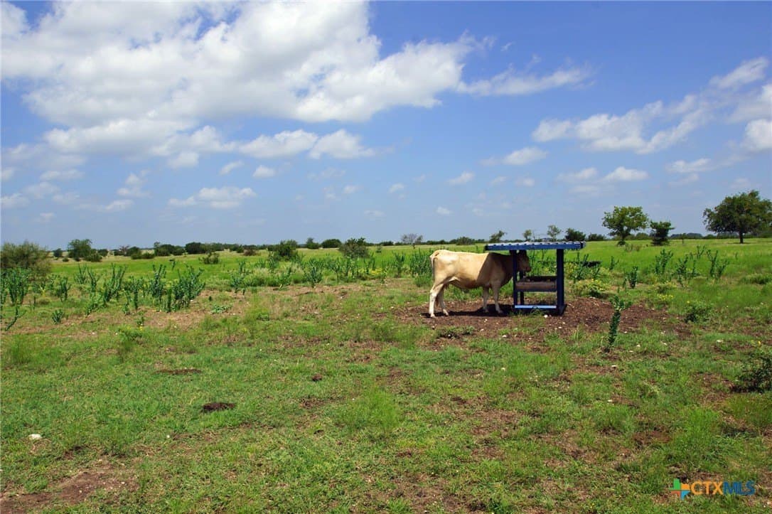 200 acres in Burnet County - photo 4