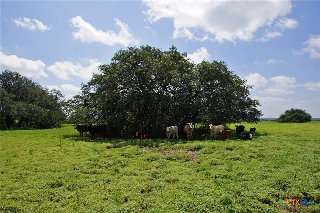 200 acres in Burnet County - photo 7