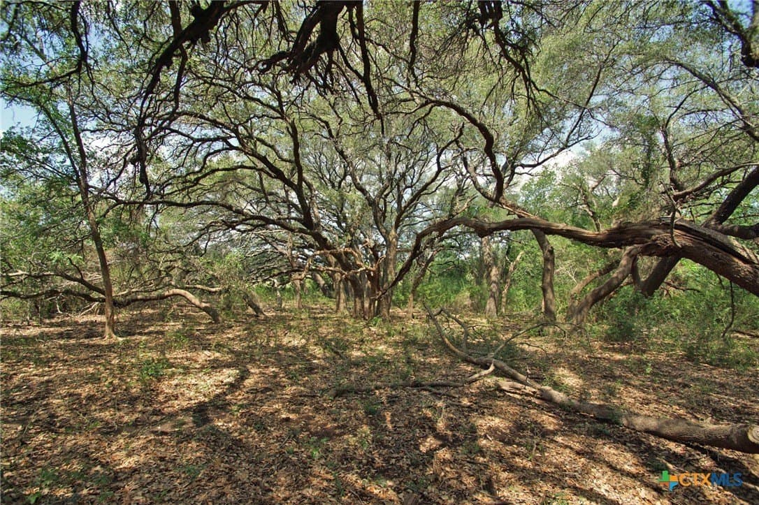 200 acres in Burnet County - photo 11