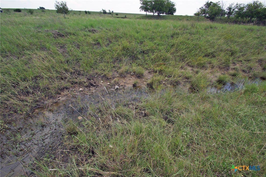 200 acres in Burnet County - photo 24