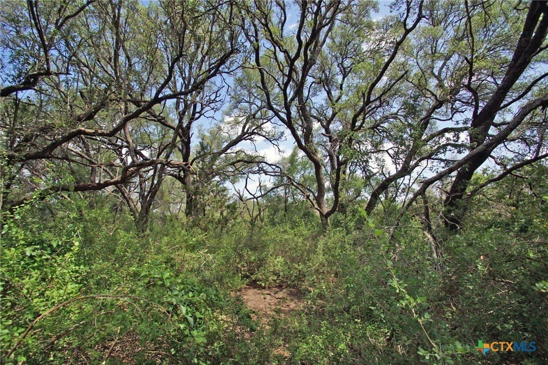 200 acres in Burnet County - photo 28