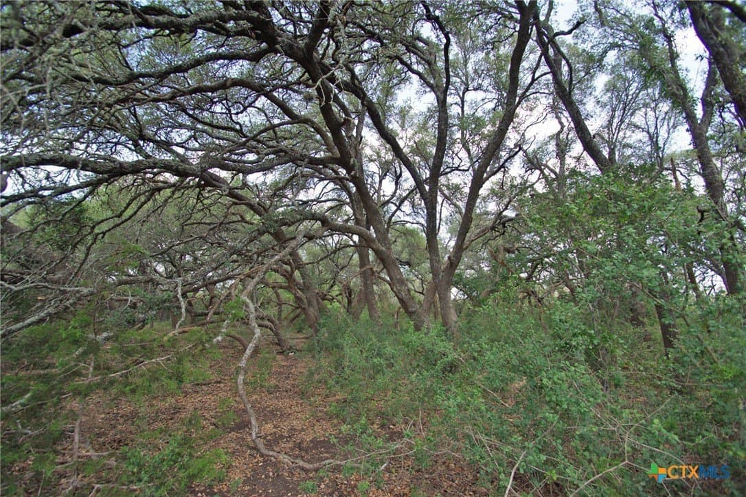 200 acres in Burnet County - photo 27