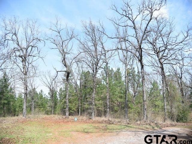 1.79 acres in Anderson County - photo 2