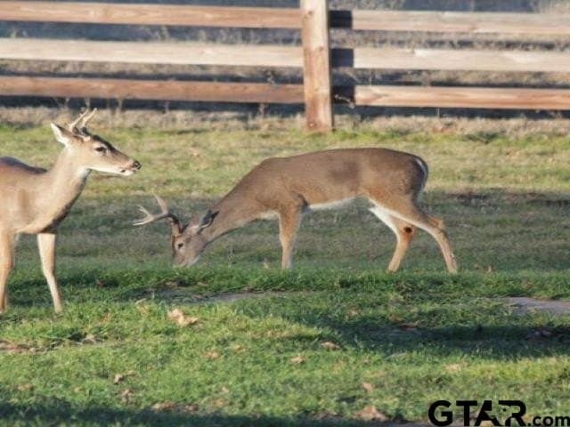 1.79 acres in Anderson County - photo 22