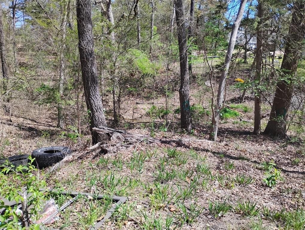 0.75 acres in Fannin County - photo 20