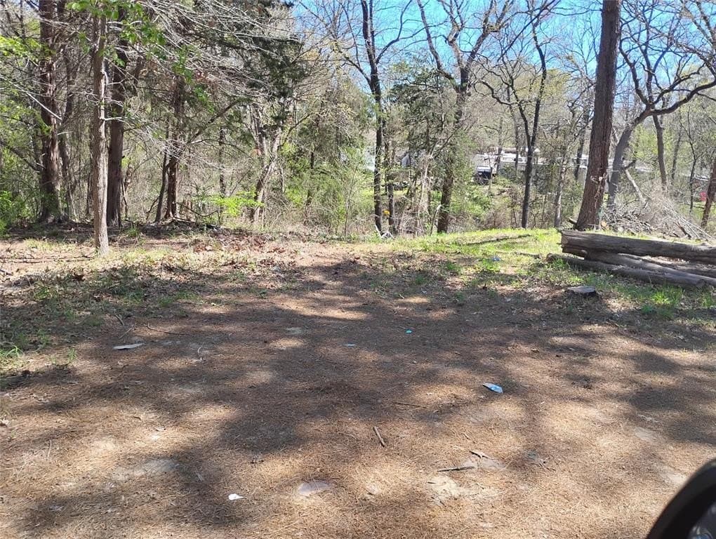 0.75 acres in Fannin County - photo 18