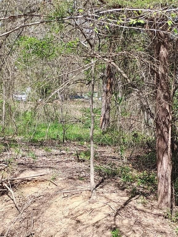 0.75 acres in Fannin County - photo 25
