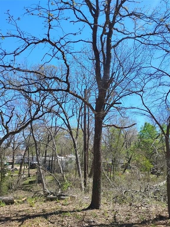 0.75 acres in Fannin County - photo 3