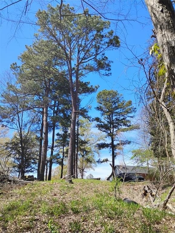 0.75 acres in Fannin County - photo 2