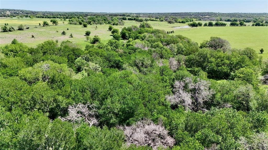 20 acres in Bosque County - photo 12