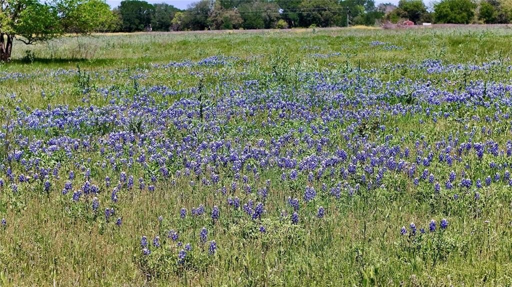 20 acres in Bosque County - photo 3