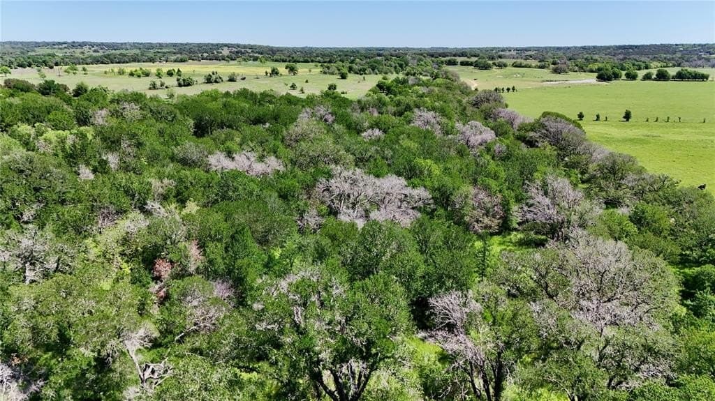 20 acres in Bosque County - photo 8