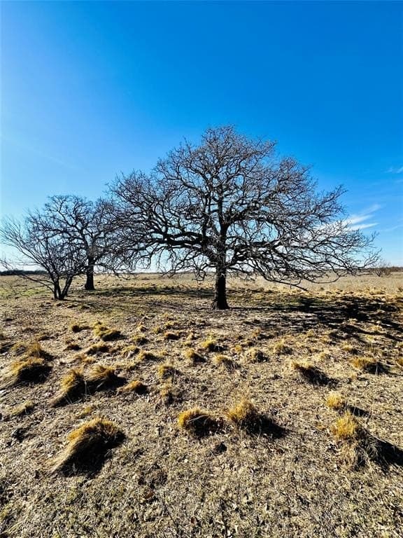 60 acres in Callahan County - photo 5