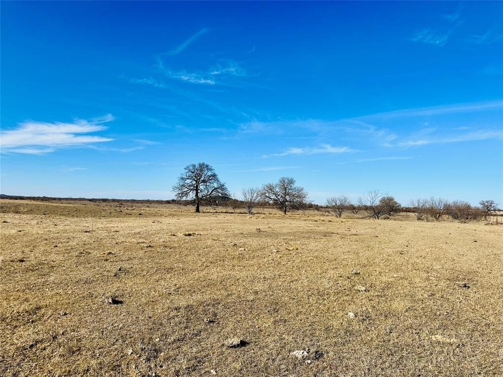 60 acres in Callahan County - photo 4