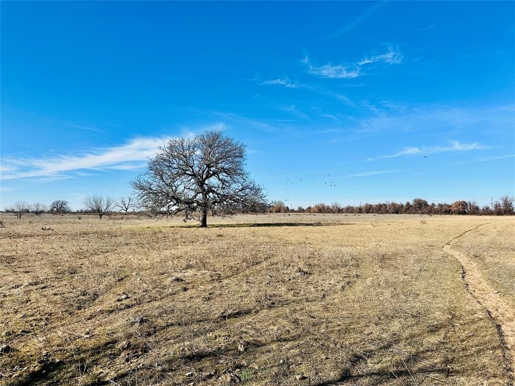 60 acres in Callahan County - photo 10