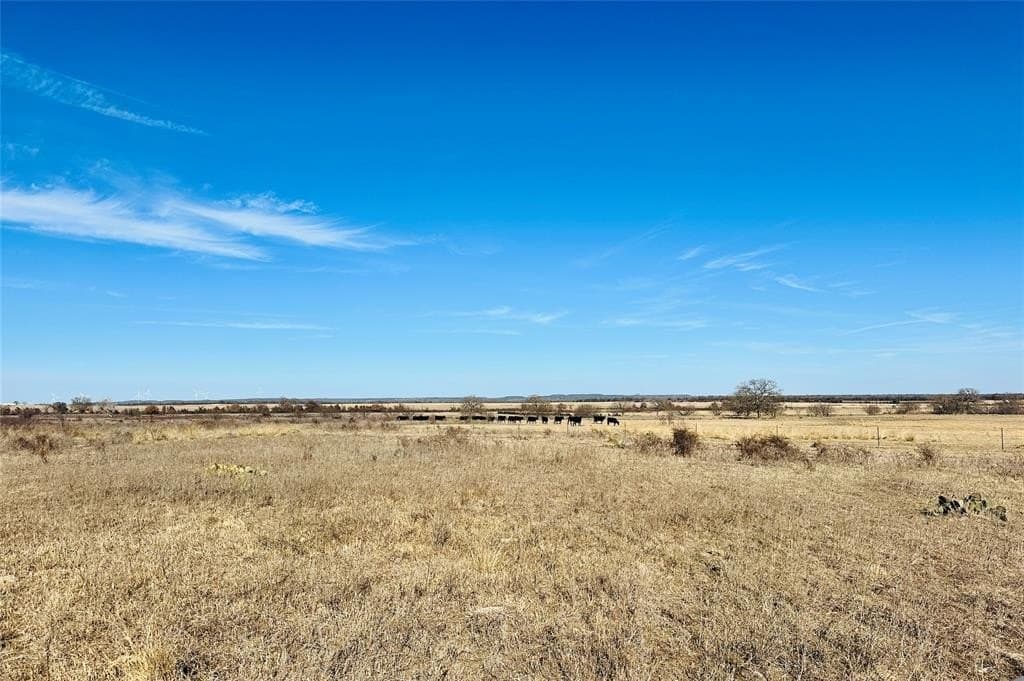 60 acres in Callahan County - photo 18