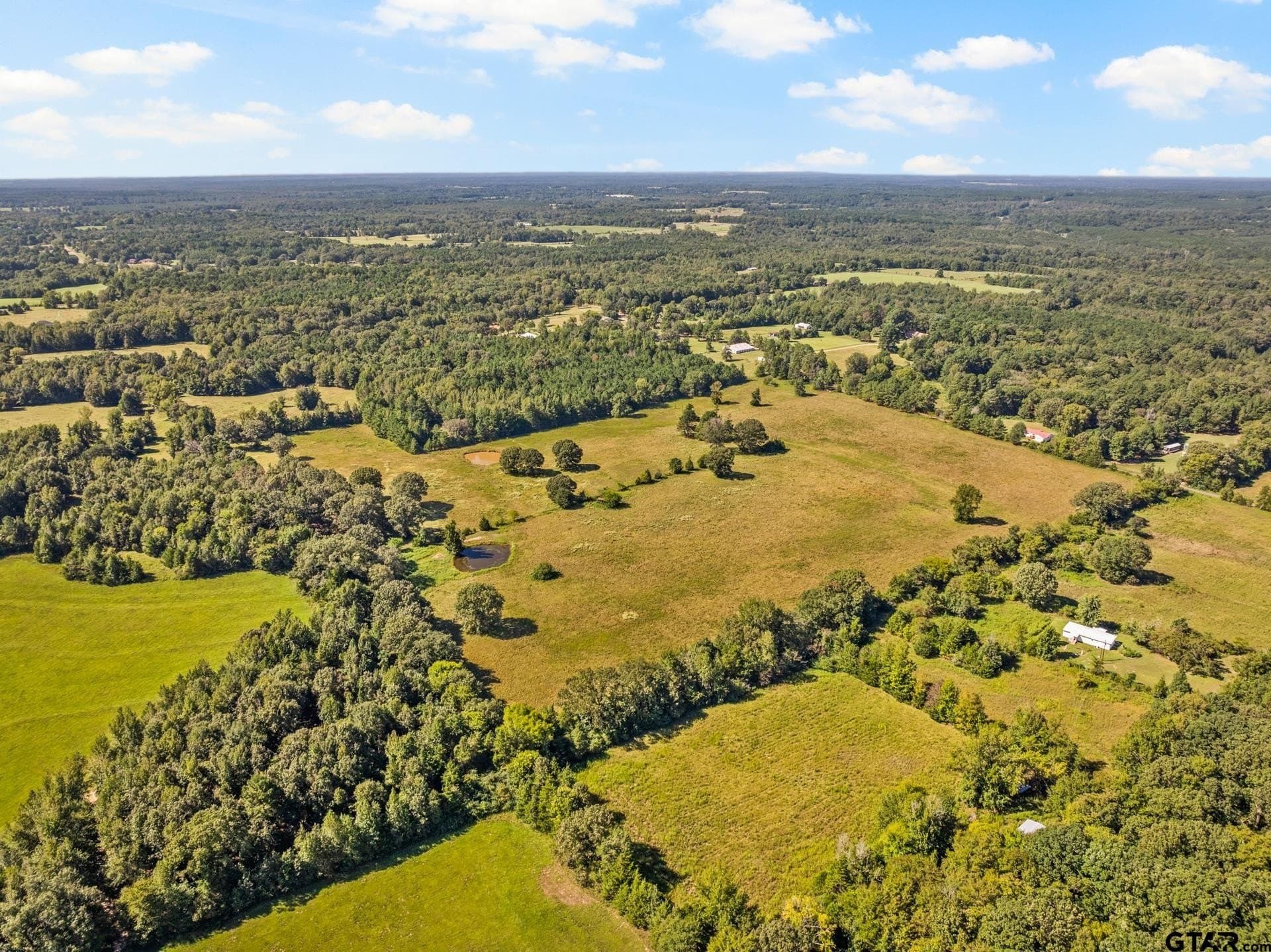 40 acres in Cass County - photo 6