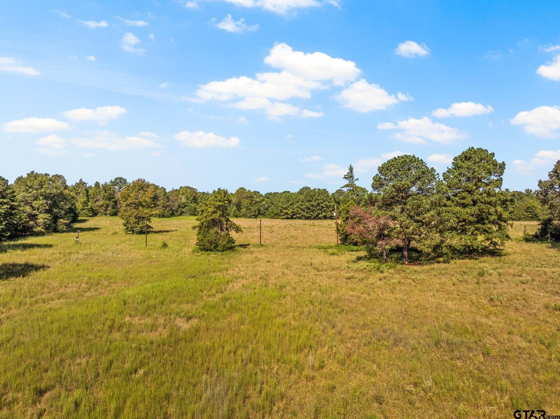 40 acres in Cass County - photo 9