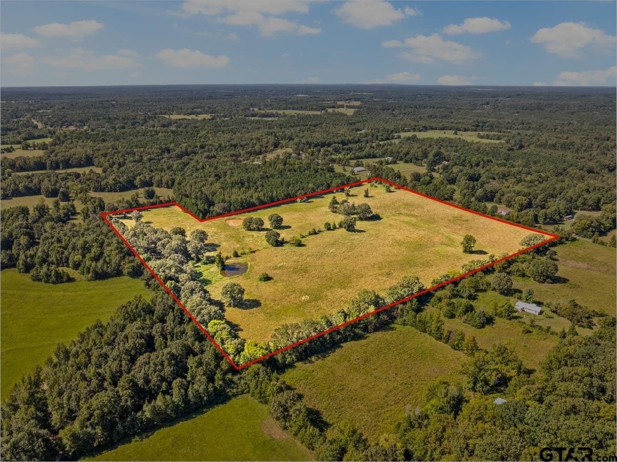 40 acres in Cass County - photo 3
