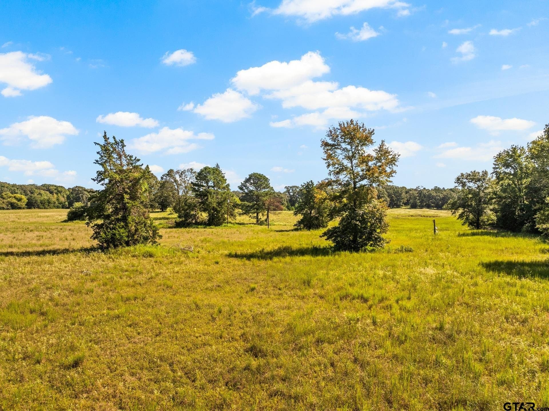 40 acres in Cass County - photo 23