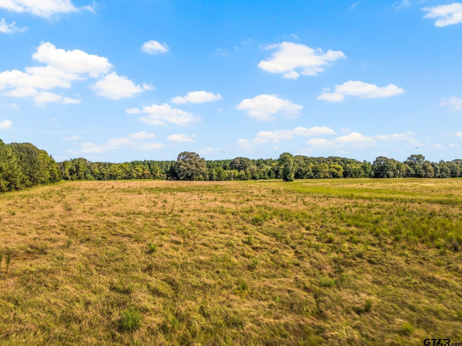 40 acres in Cass County - photo 25