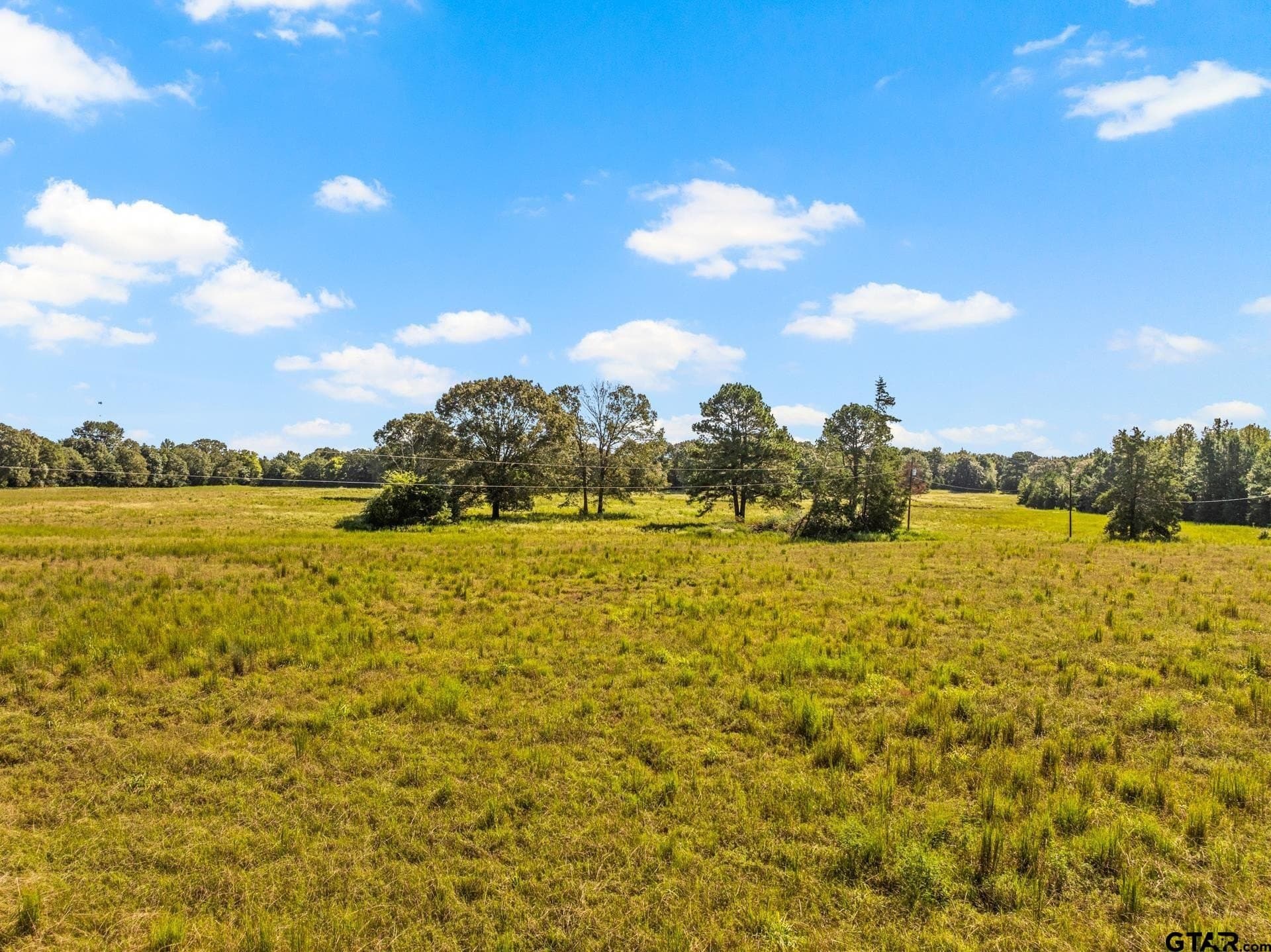 40 acres in Cass County - photo 24