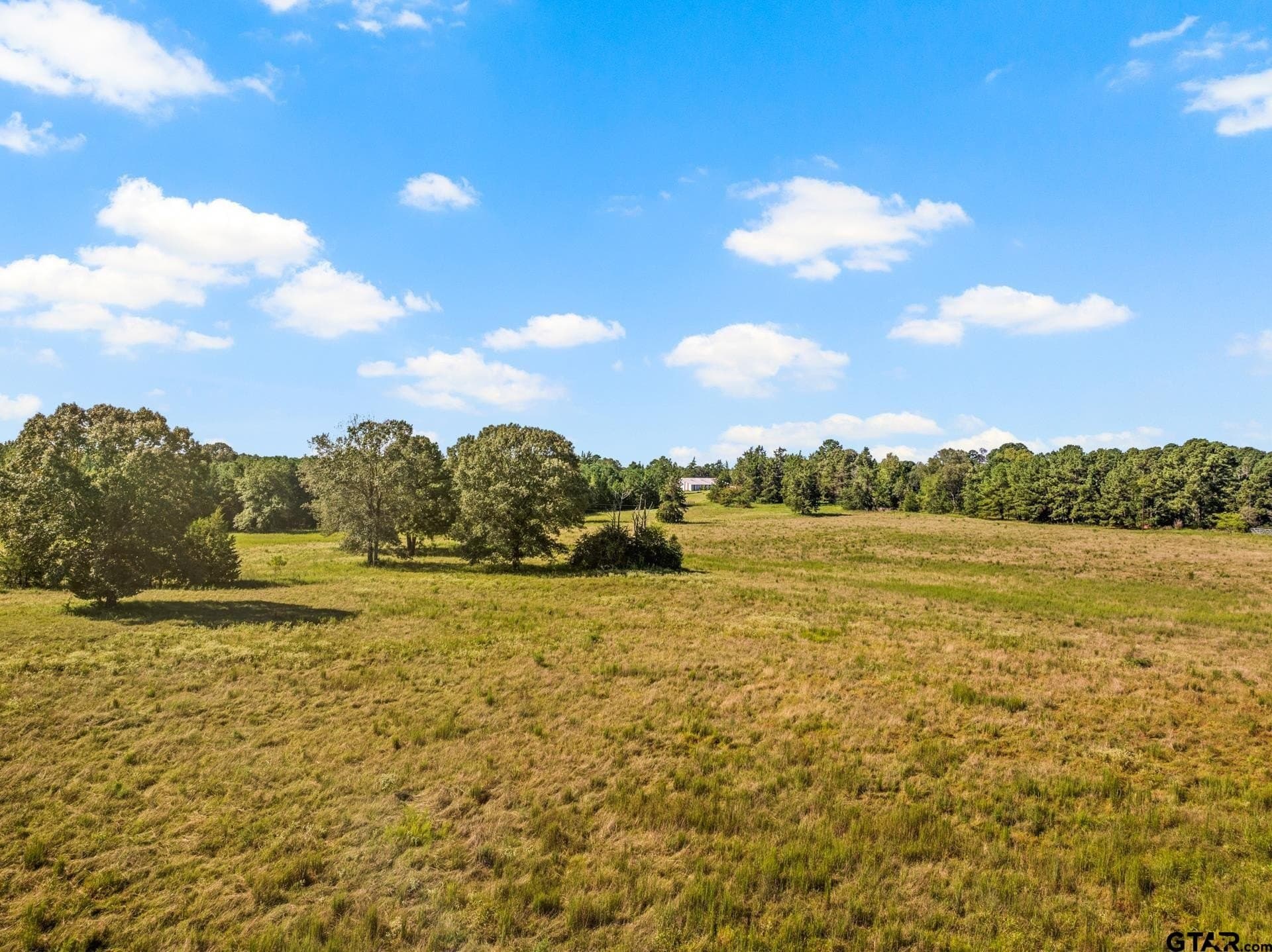 40 acres in Cass County - photo 11