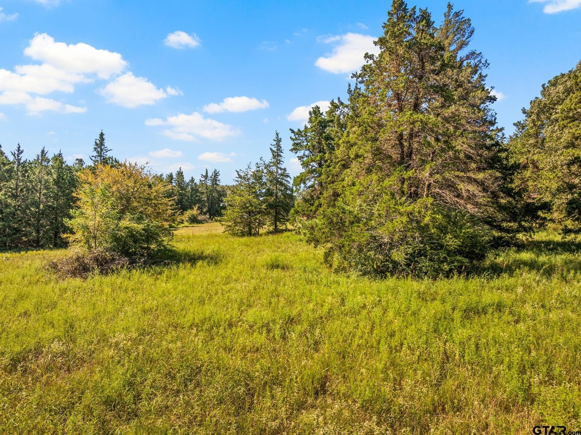 40 acres in Cass County - photo 20