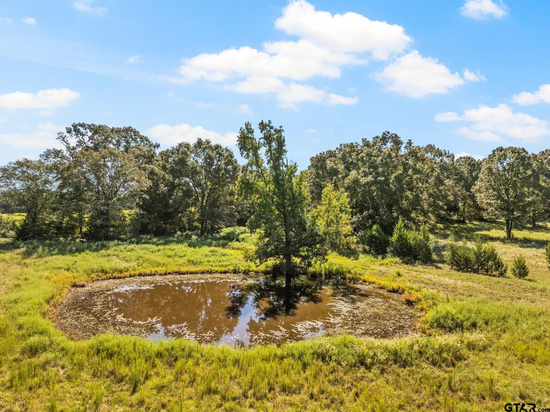 40 acres in Cass County - photo 4