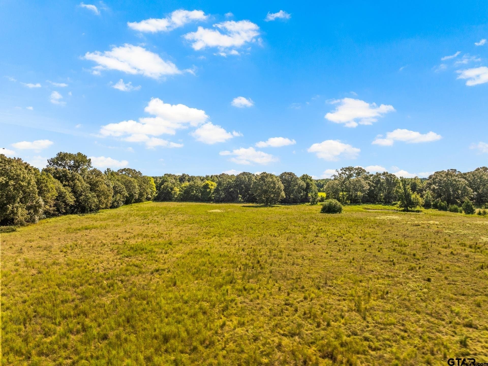 40 acres in Cass County - photo 10