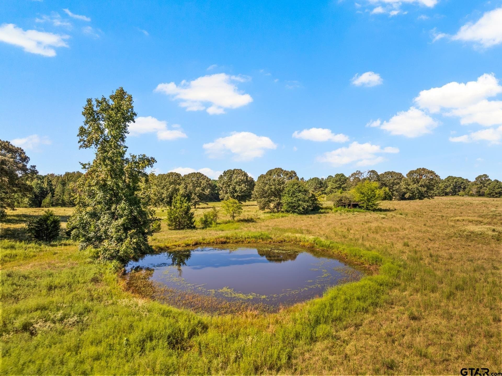 40 acres in Cass County - photo 2