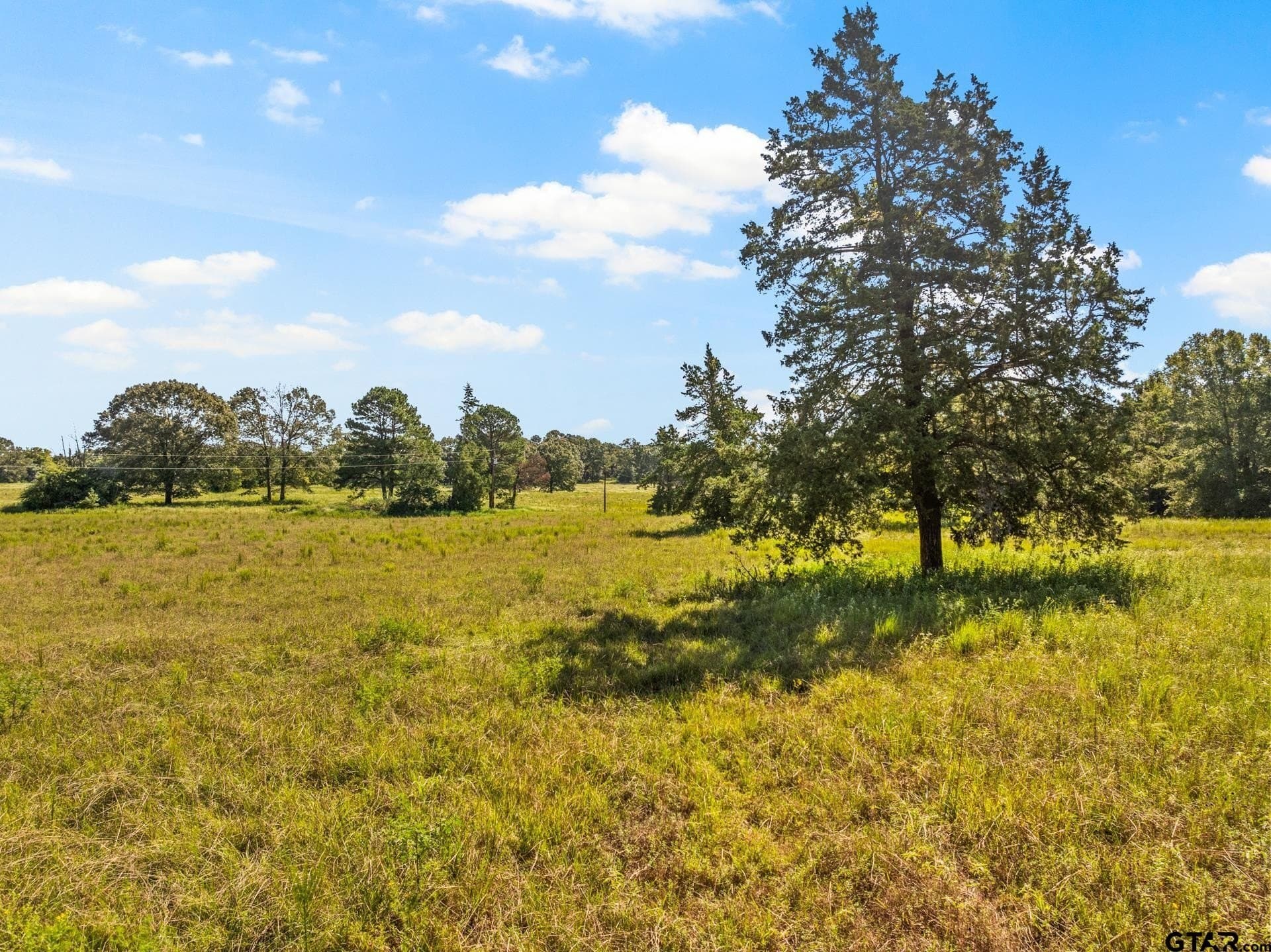 40 acres in Cass County - photo 18