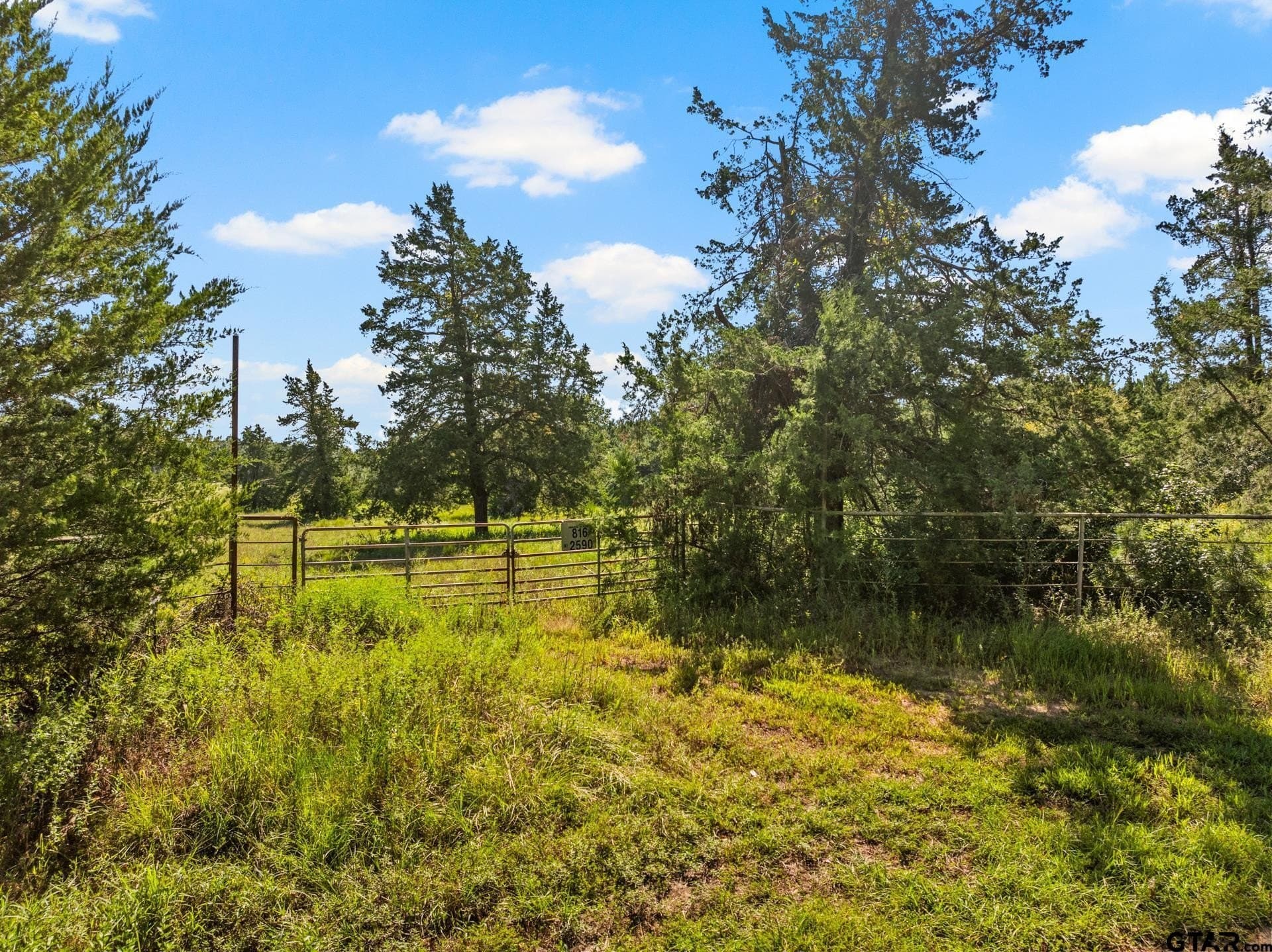40 acres in Cass County - photo 19