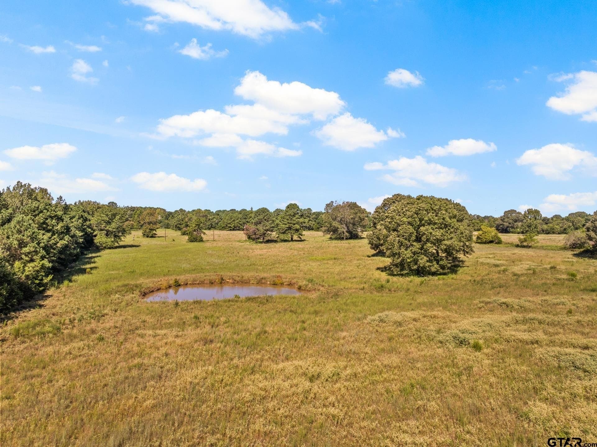 40 acres in Cass County - photo 14