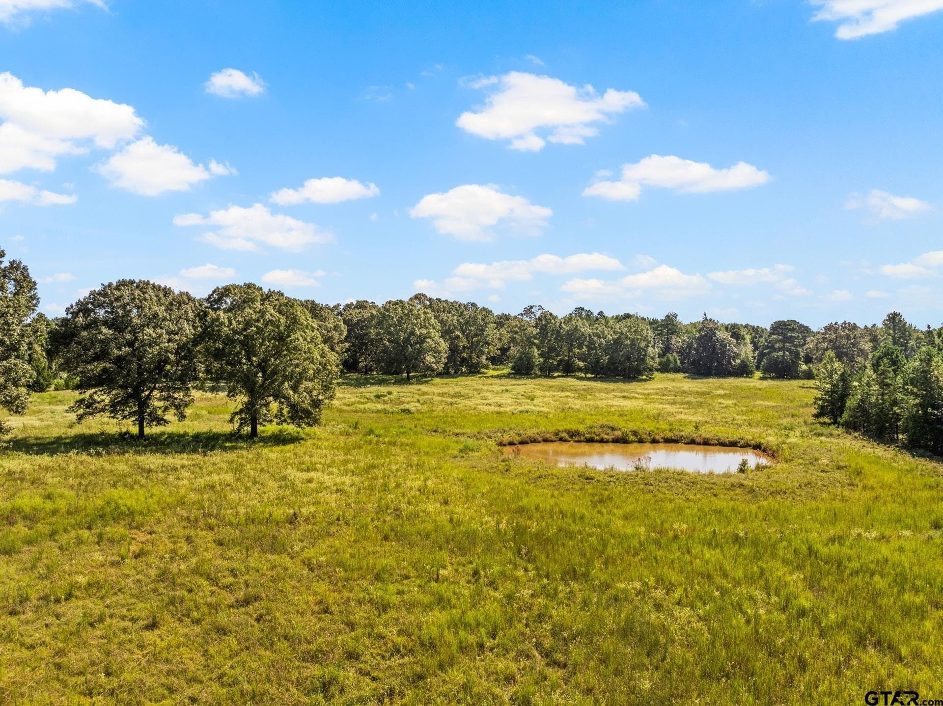 40 acres in Cass County - photo 12