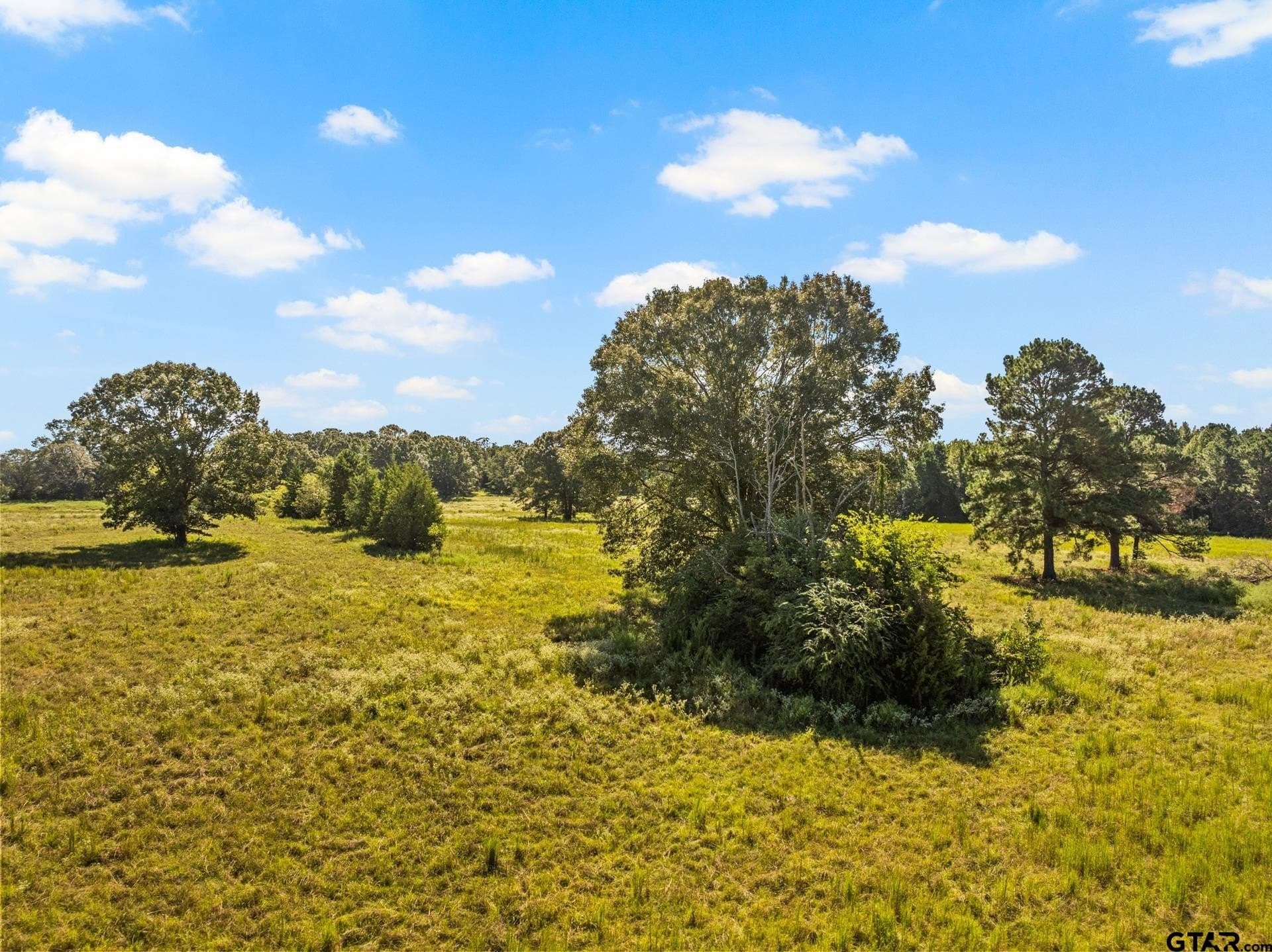 40 acres in Cass County - photo 17