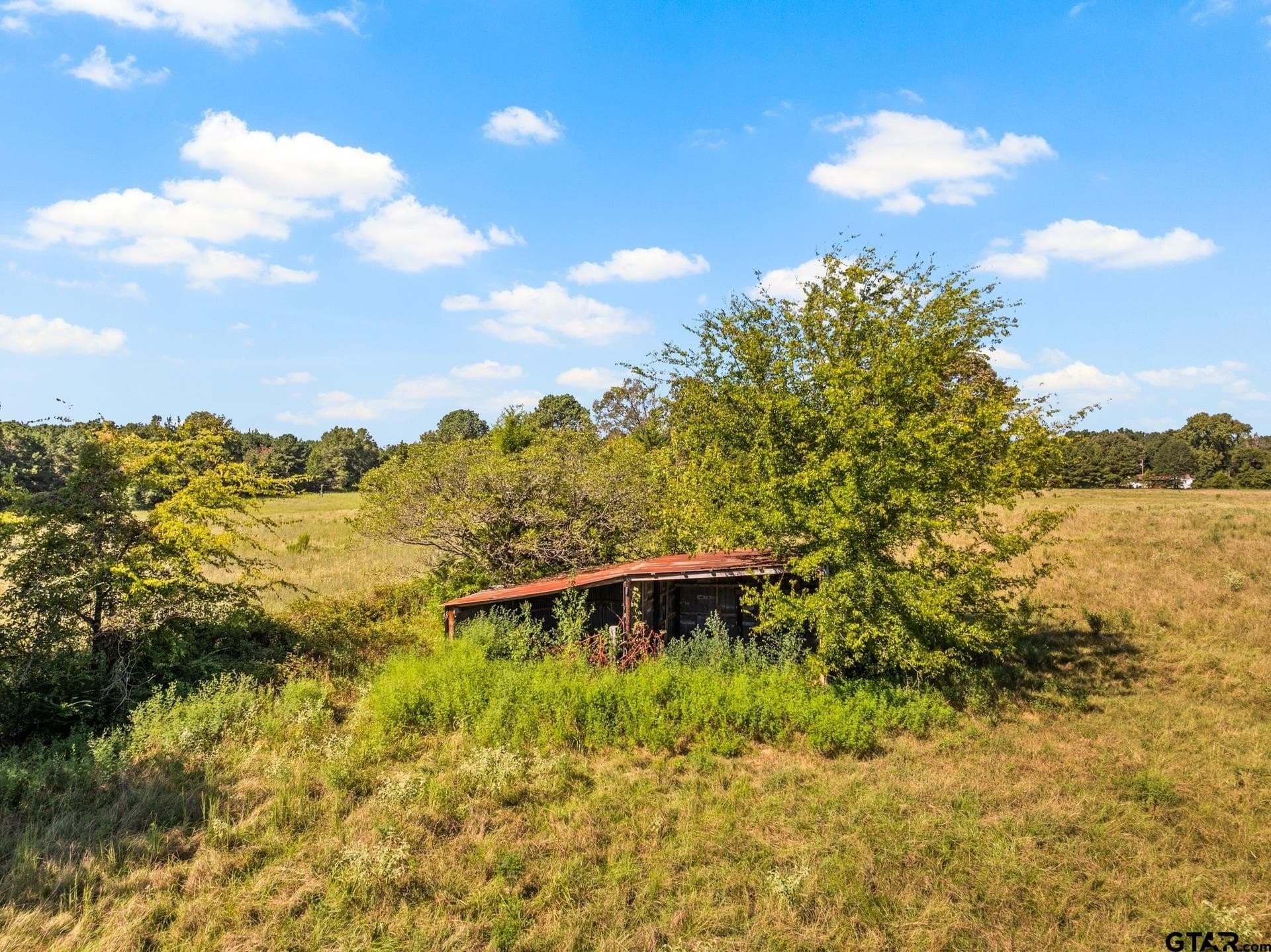 40 acres in Cass County - photo 15