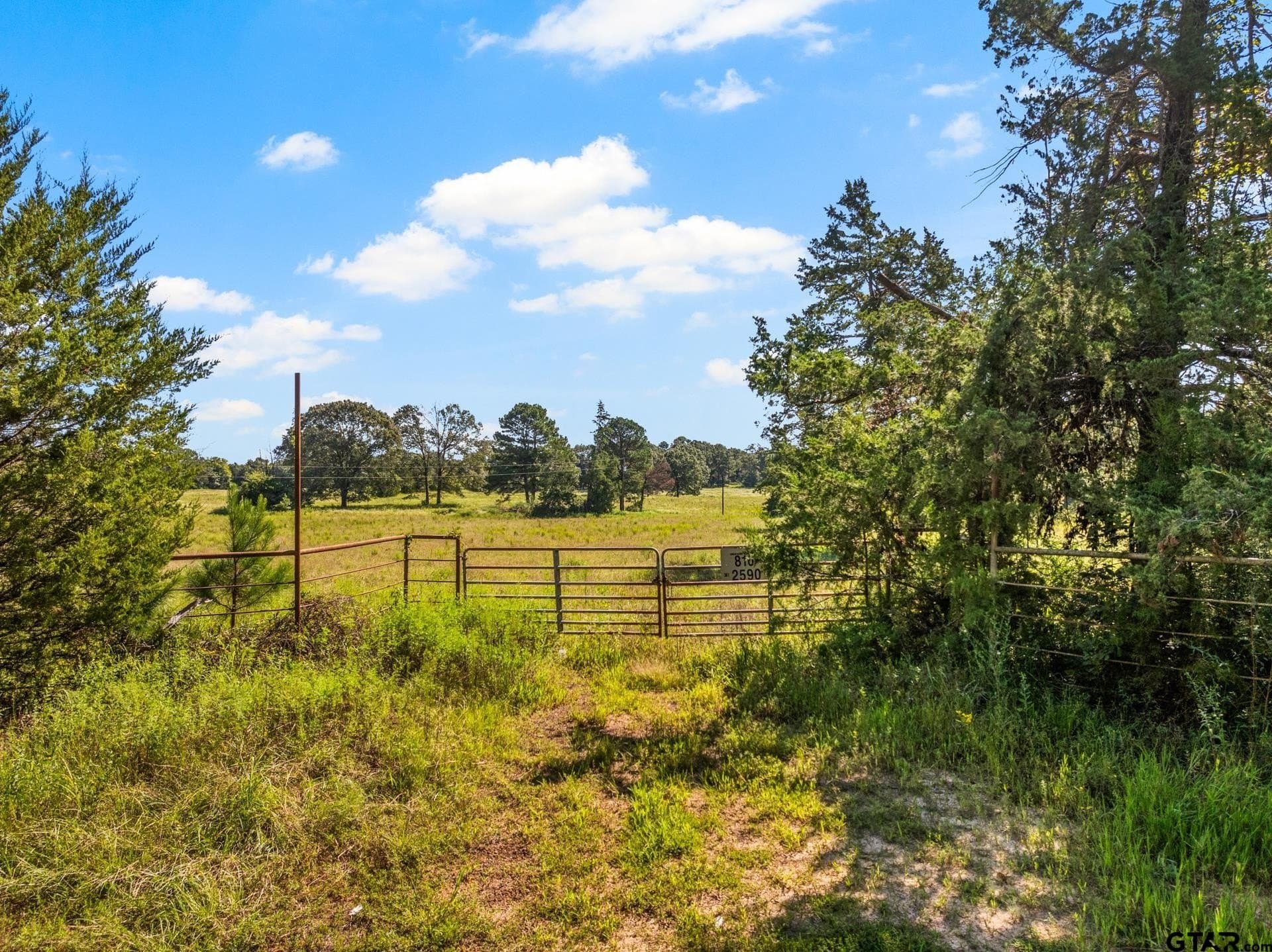 40 acres in Cass County - photo 22