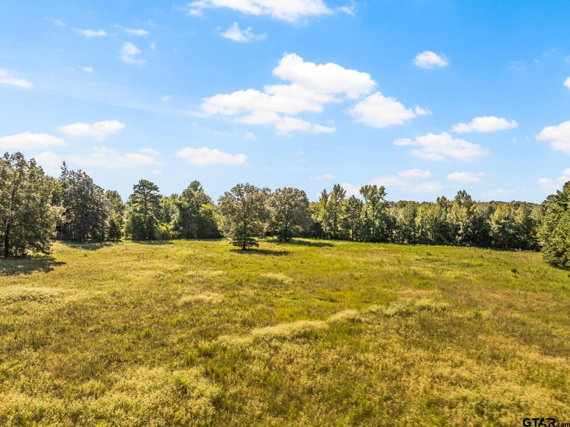 40 acres in Cass County - photo 13