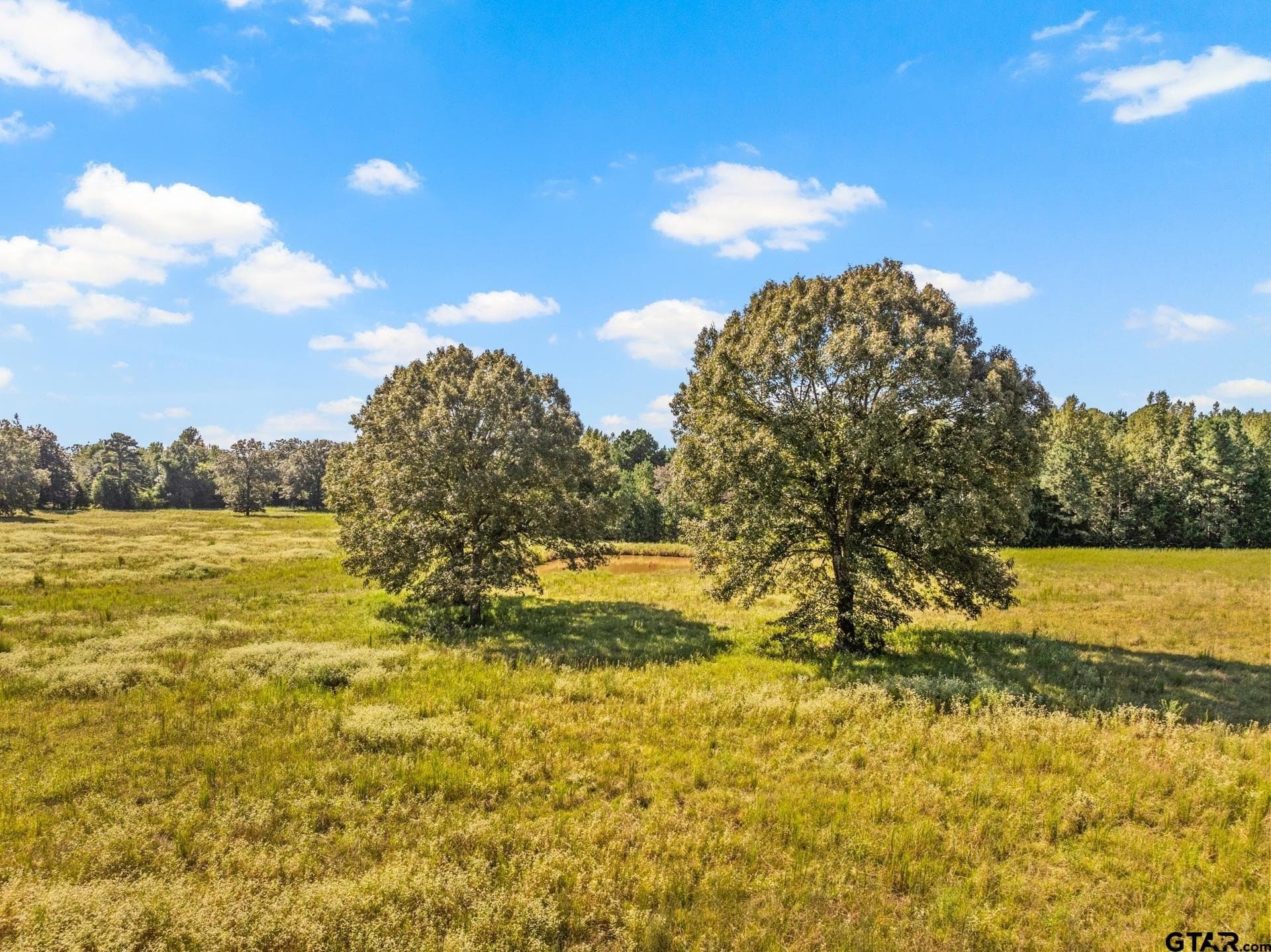 40 acres in Cass County - photo 16