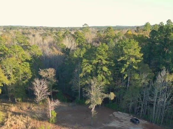8 acres in ANDERSON County - photo 6