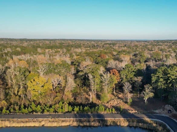 8 acres in ANDERSON County - photo 7