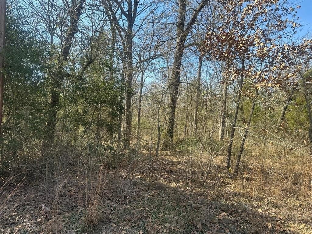 0.11 acres in Henderson County - photo 2