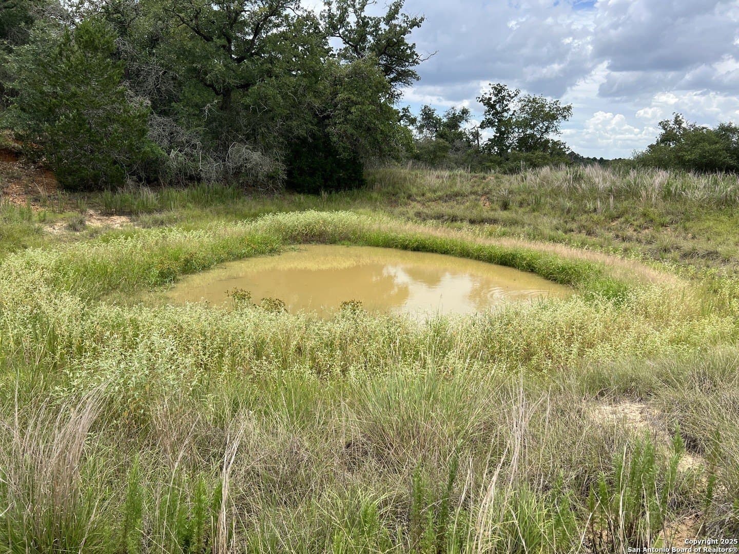 20 acres in Guadalupe County - photo 54