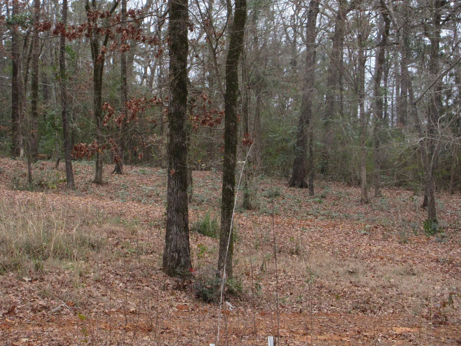 0.82 acres in Gregg County - photo 5