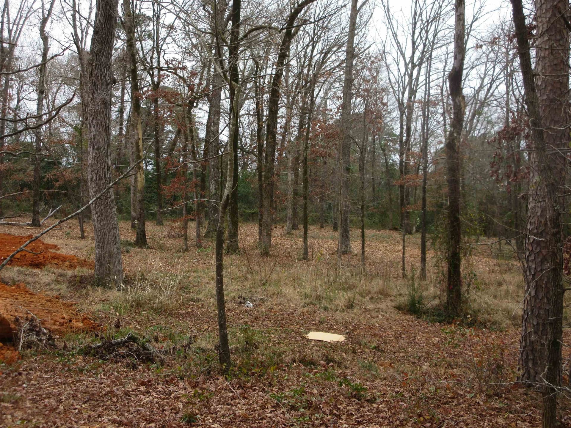 0.82 acres in Gregg County - photo 4